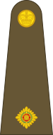 File:2LT Army Wellmoore.png