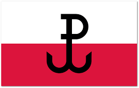 File:Fighting Poland.png