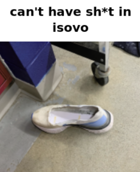 File:Isovo Shoe.png