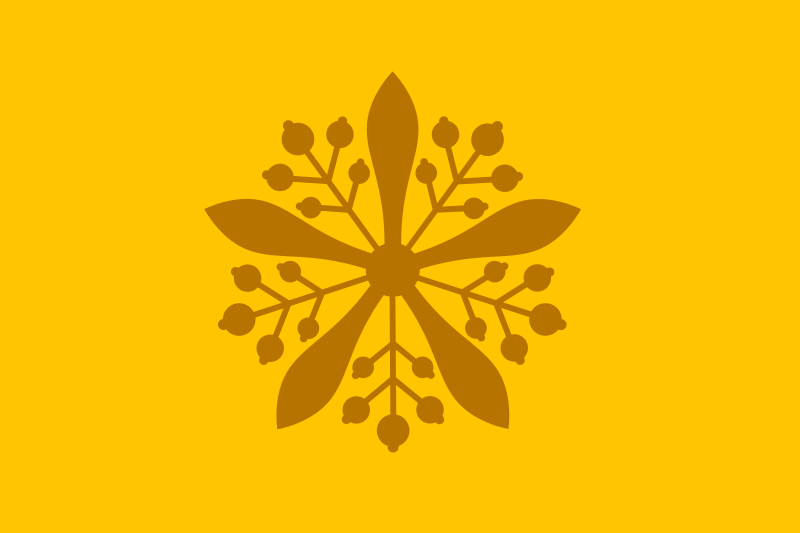 File:3rd Flag of Shengli.png
