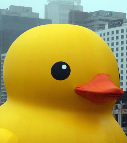 File:Rubber Duck (8374802487).png