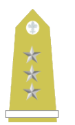 File:Matachewanian General Brygady(Army).png