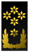 File:60px-Nl-marechausee-luitenant generaal.png