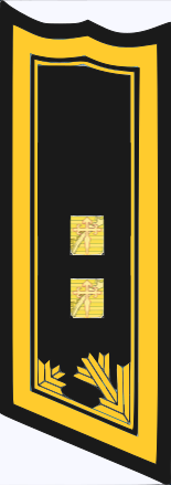 File:Ebenthal Brigadier General OF-07 Neo.png