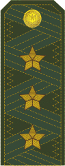 File:General-polkovnik.png