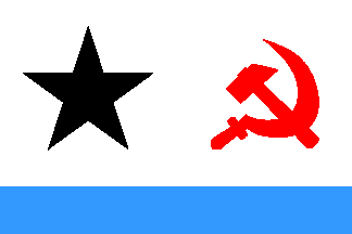 File:Flag of AnarchoCommunist NLA.png