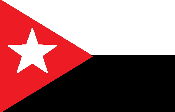 File:DLflag3.png
