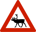 Reindeer Warns that reindeer often traverse or travel on the roads.