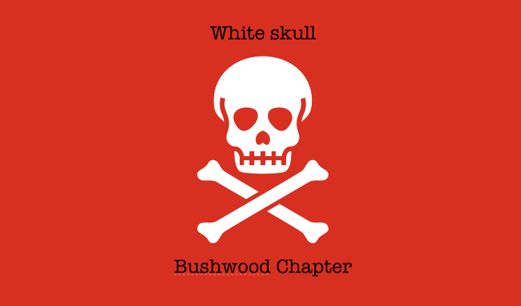File:White Skull Flag.jpg