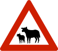 Sheep Warns that sheep often traverse or travel on the roads.