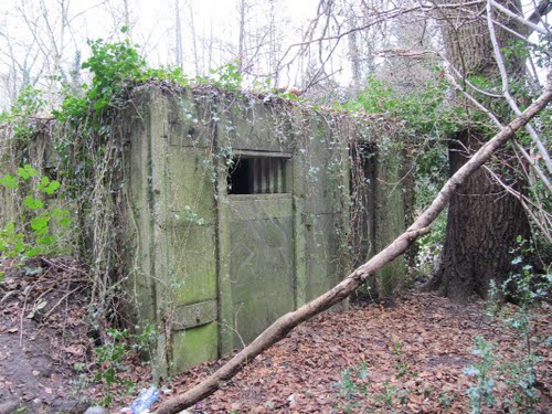 File:Dale bunker.jpg