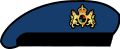 File:Navyberet.png