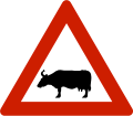 Cattle Warns that cattle often traverse or travel on the roads.