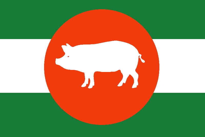 File:Svinadalur flag.png