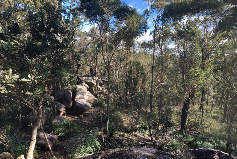 File:View from a small cliff in Australland.png
