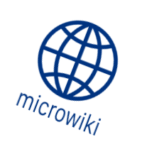 File:Logo of MicroWiki, April Fools' Day 2020.png