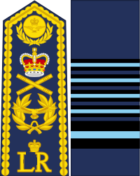 File:Marshal of the Royal Wellmoorean Air Force.png