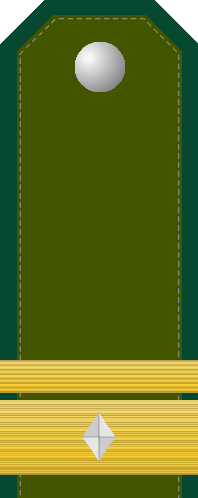 File:Atovia OR-7 Sergeant.png