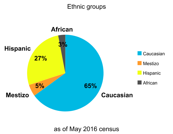 File:Demohgraphics-ethinicgroups.png
