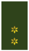 File:60px-Nl-landmacht-eerste luitenant.png