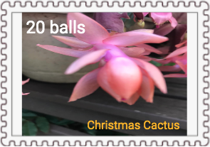 File:Christmas Cactus F Series Stamp.png