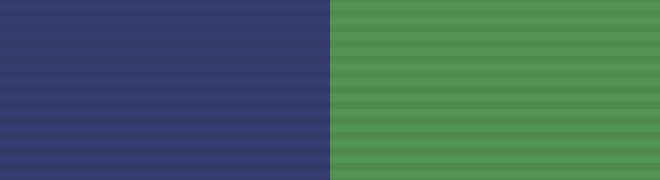 File:Friendship Medal ribbon.png