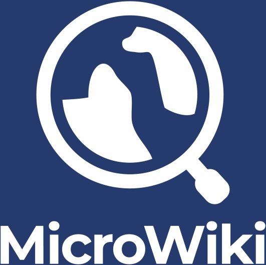 File:Logo of MicroWiki (white) with blue background.jpg