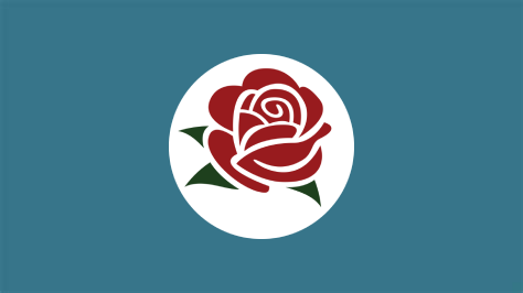File:Democratic Socialist Party of Bir Tawil.png