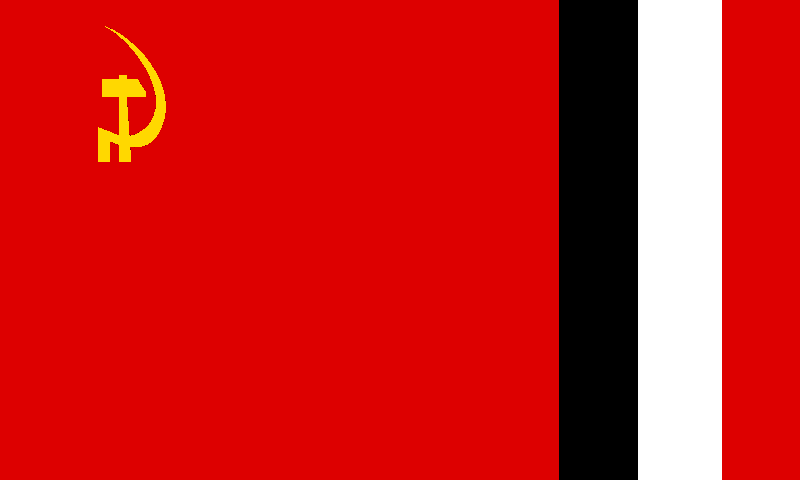 File:Flag of ASPRM.png