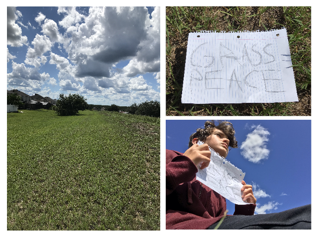 File:Grass Peace collage.png
