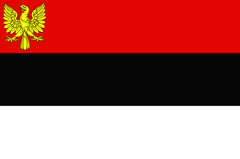 File:Flag Aetosia National Official.png