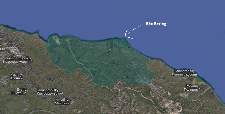 File:Northern Bering (Impy).png