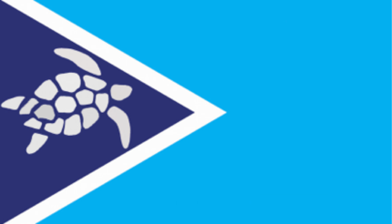 File:Flag of District of Floriano.png