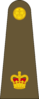 West Canadian Army Major