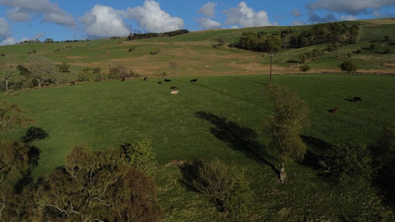 File:River Afton Grassland, Rolling Hills, Farmland Fields, Trees Cattle, and Wind Turbine RFAF Aerial Photo.jpg