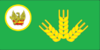 Flag of Platte City