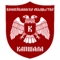 Old volleyball club logo (2020–2022)