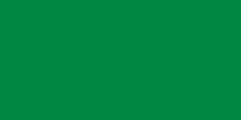 File:Flag of Libya (1977–2011).svg
