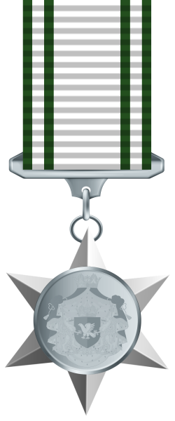 File:Medal of Valour Medal.svg