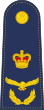 Air Chief Marshal (Vishwamitra) - OF-9.svg