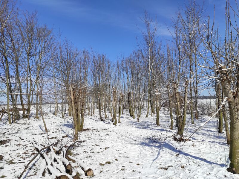 File:Snow in Lukland 22 March 2021.jpg