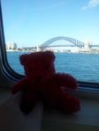 On a Sydney Ferry.