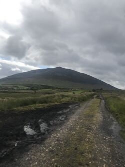 Picture of Nephin Mountain, taken by Ludwig Collins.