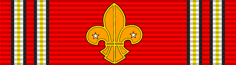 File:Scout Medal 1.png