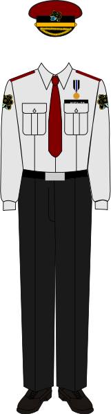 File:Uniform of Paul Koehler as Head Observer of JISA.svg