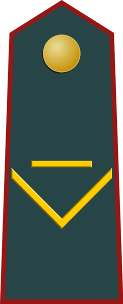 File:FKJNDF Sergeant.png
