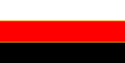 Flag of Tamesian People's Republic