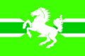 North Green flag and cross with darker green stripe and white stripes centered with prancing horse.