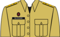 Worn by african troops instanced in Turtle Coast