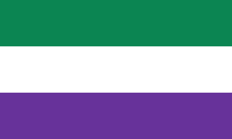 File:Flag of Brienia.svg